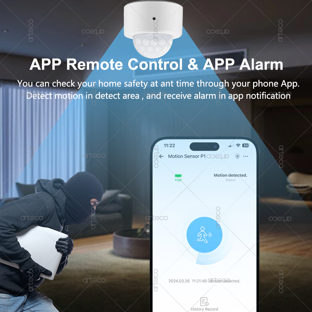 Ewelink Zigbee PIR Motion Sens - Smart Home Security incelemesi ve fiyatı