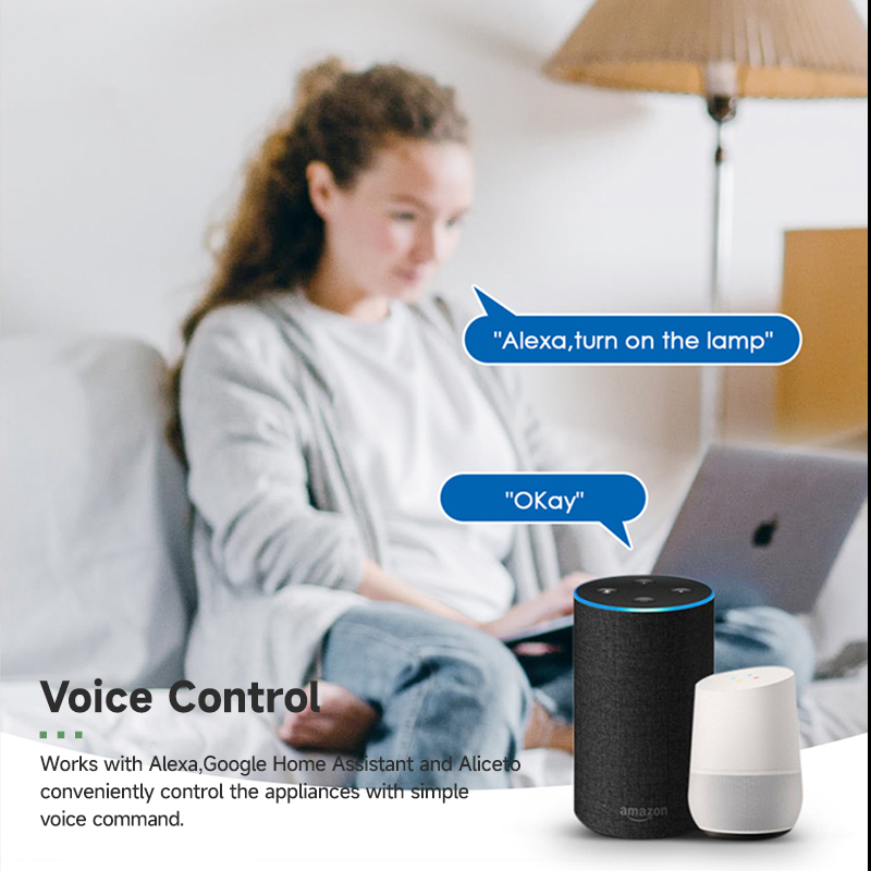 Tuya Smart WiFi Switch Module  - Smart Home Automation System incelemesi ve fiyatı