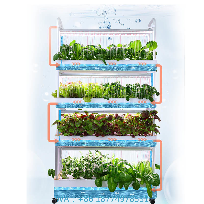 ydroponic Planting System Smar - Smart Home Automation System incelemesi ve fiyatı