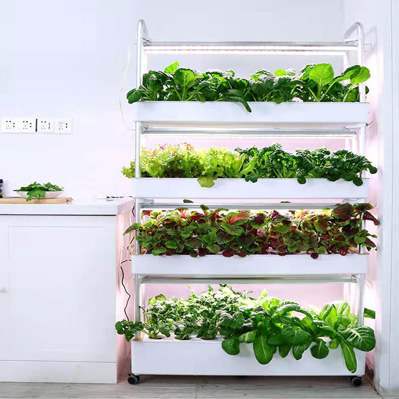 ydroponic Planting System Smar - Smart Home Automation System incelemesi ve fiyatı