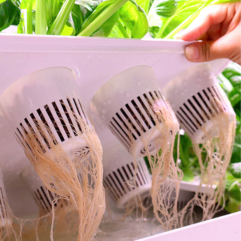 ydroponic Planting System Smar - Smart Home Automation System incelemesi ve fiyatı