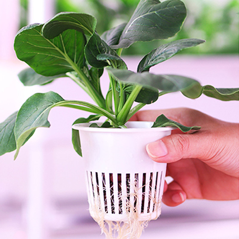 ydroponic Planting System Smar - Smart Home Automation System incelemesi ve fiyatı